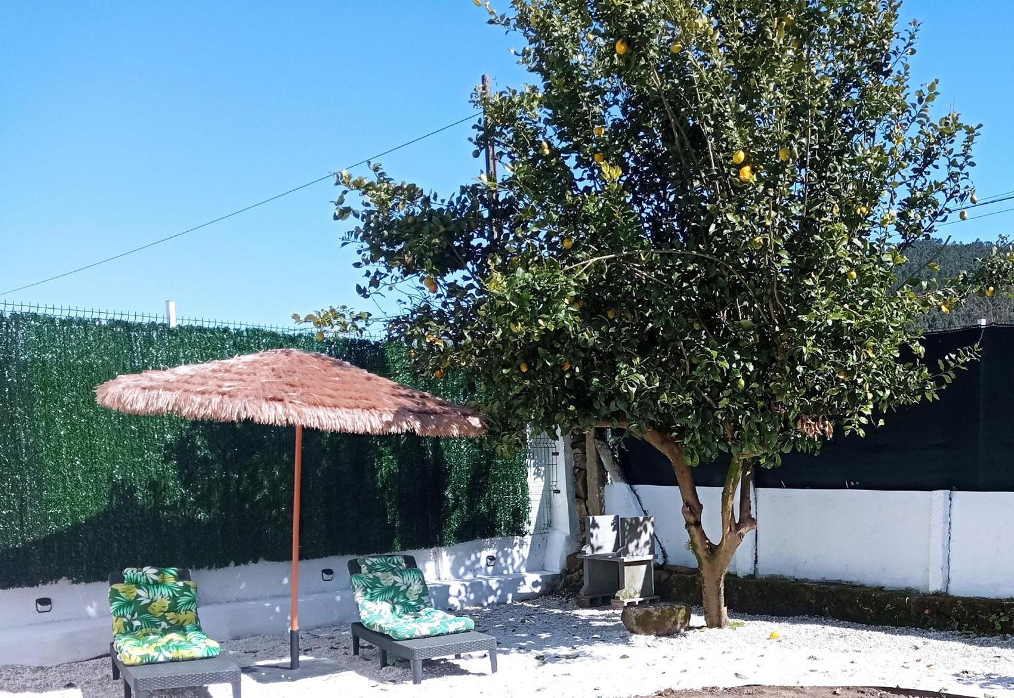 Casa Amelia 1ªp A 50 M Camino De Santiago Villa Padrón Kültér fotó