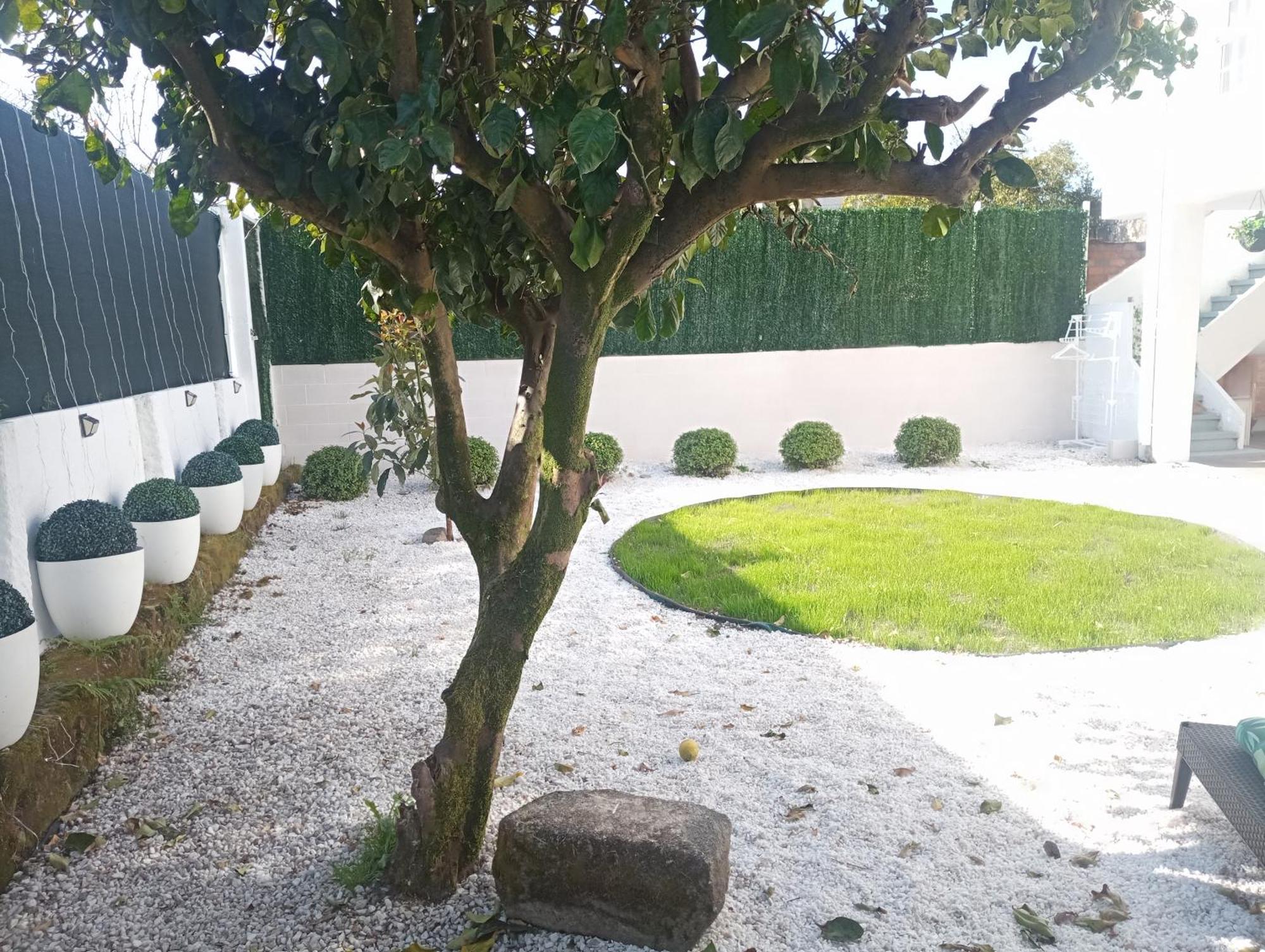 Casa Amelia 1ªp A 50 M Camino De Santiago Villa Padrón Szoba fotó